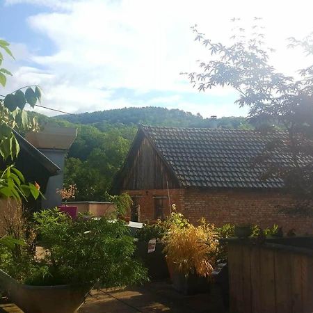 "Cote Nature", Appartement Cosy Au Coeur De Munster Мюнстер Экстерьер фото