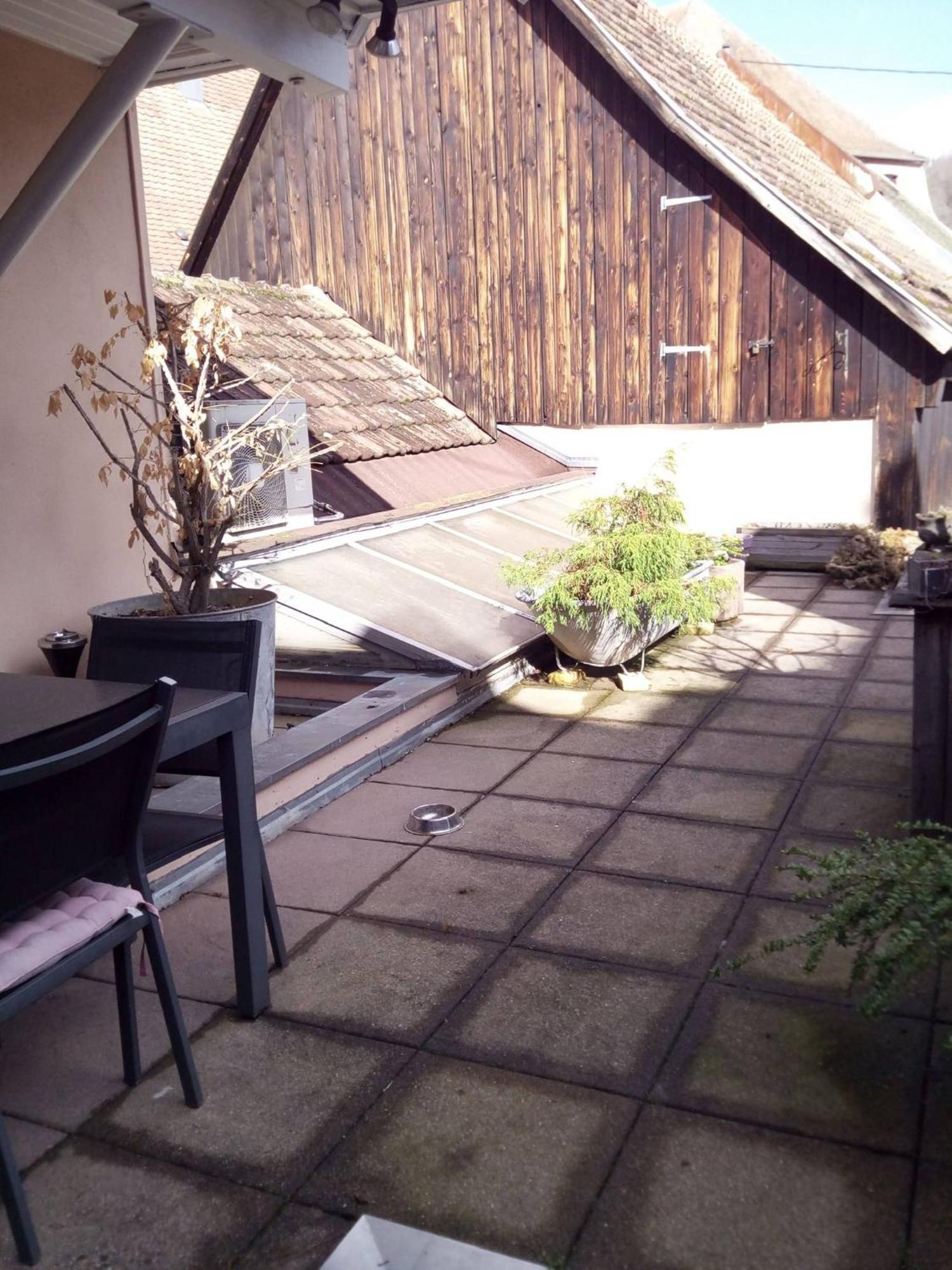 "Cote Nature", Appartement Cosy Au Coeur De Munster Мюнстер Экстерьер фото