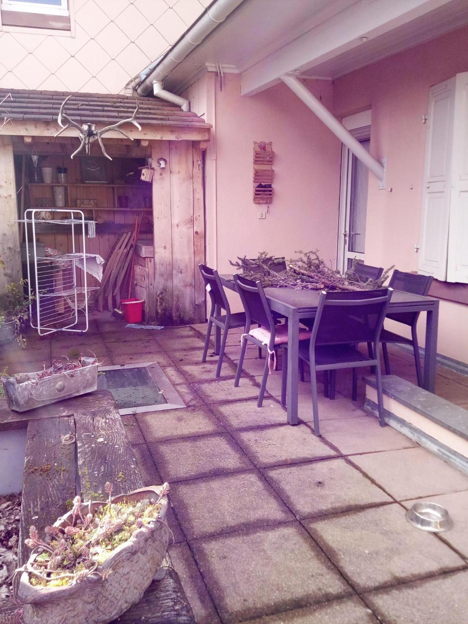 "Cote Nature", Appartement Cosy Au Coeur De Munster Мюнстер Экстерьер фото